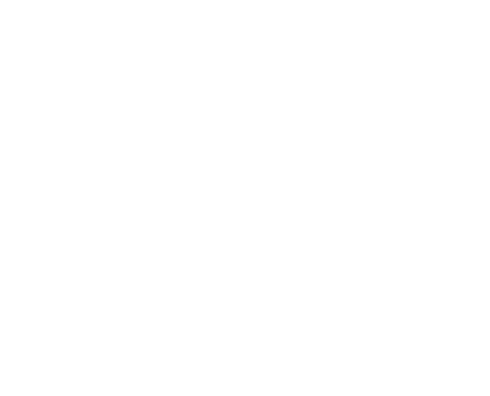 Surfista Solitário